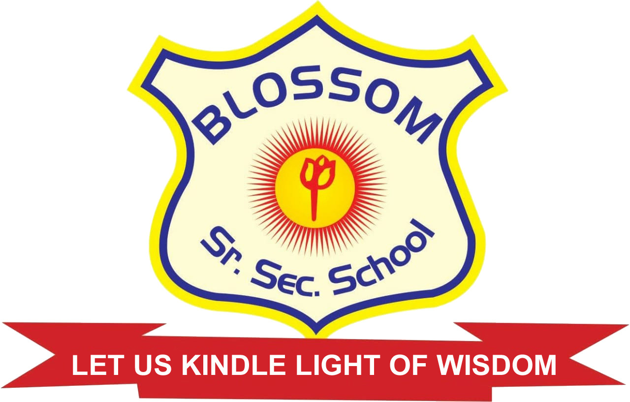BLOSSOM SENIOR SECONDARY SCHOOL logo