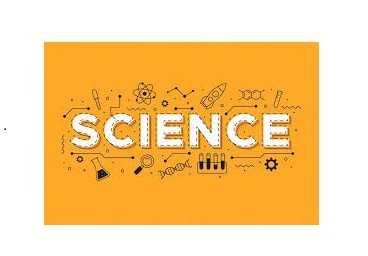 Personalized Home Tutoring