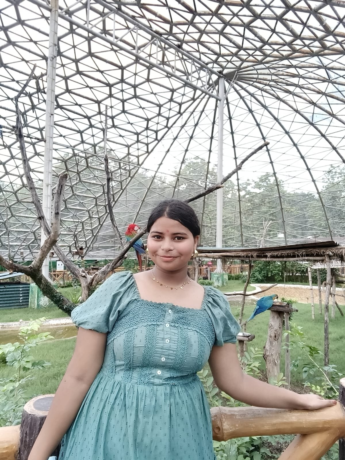MADHU KUSHWAHA - mathematics Tutor